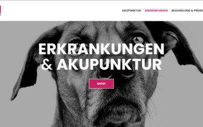 Start-Up Paket für Tier-Akupunktur